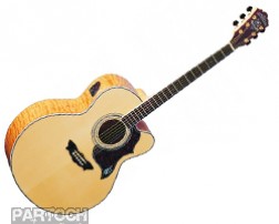 Washburn J28 SCEDL