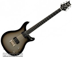 PRS SE SIGNATURE MIKE MUSHOK