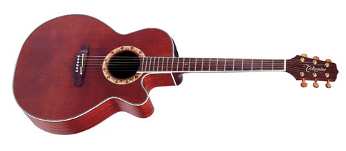 Takamine EF508C