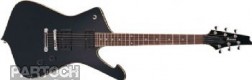 Ibanez IC300