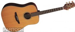 Takamine N10