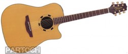 Takamine EN10C