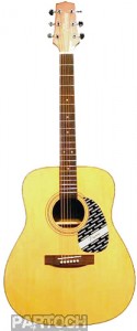 Takamine GS240