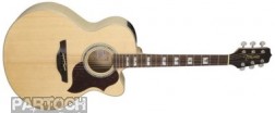 Takamine EG523SC