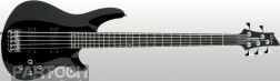 Schecter Omen 6