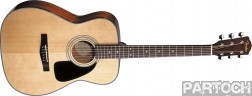 Fender GC-12