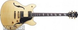 Washburn HB 35