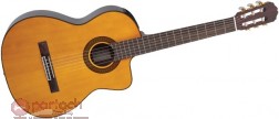 Takamine eg128sc