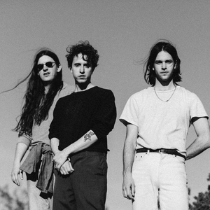 beach fossils