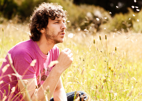 gotye