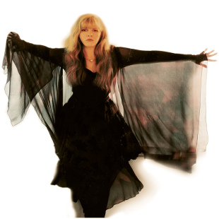 album stevie nicks