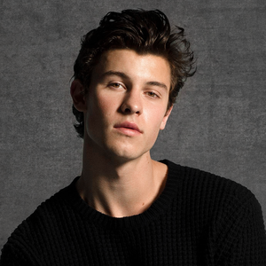 shawn mendes