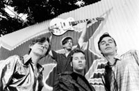 album the fleshtones