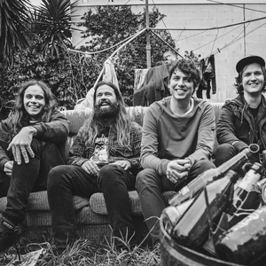 violent soho