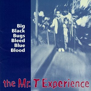 album the mr t experience