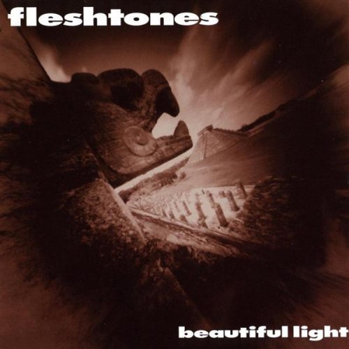 album the fleshtones