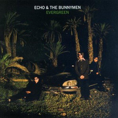 album echo and the bunnymen