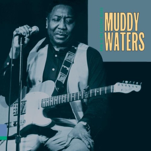 album muddy waters