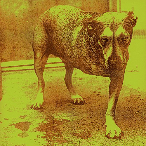 album alice in chains