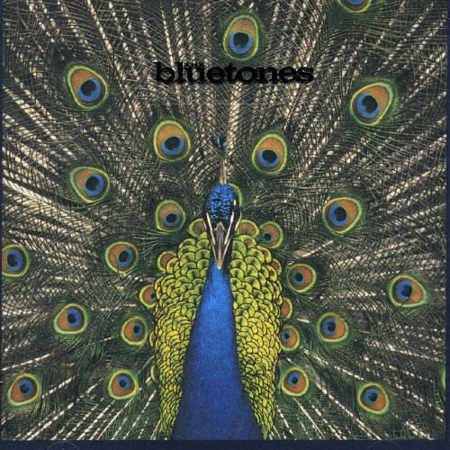 album the bluetones