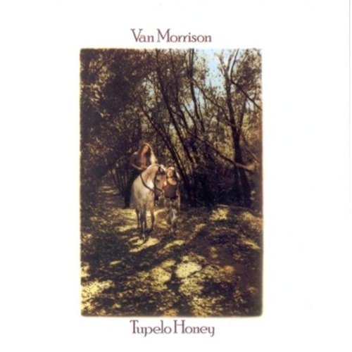 album van morrison