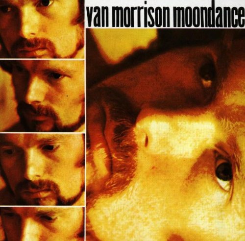 album van morrison