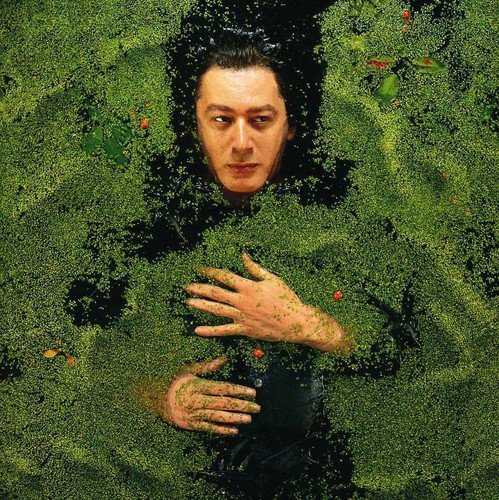 album alain bashung