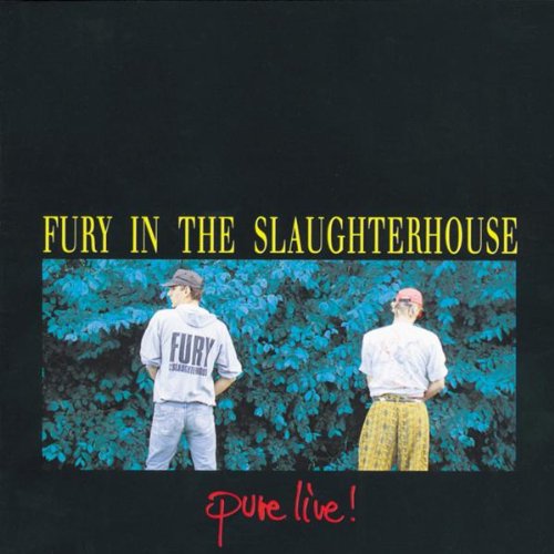 album fury in the slaughterhouse