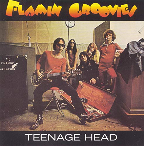 album flamin groovies