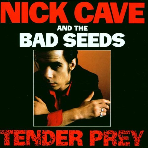 album nick cave and the bad seeds