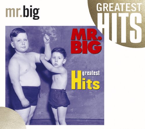 album mr big