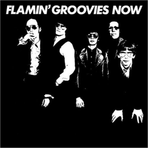 album flamin groovies