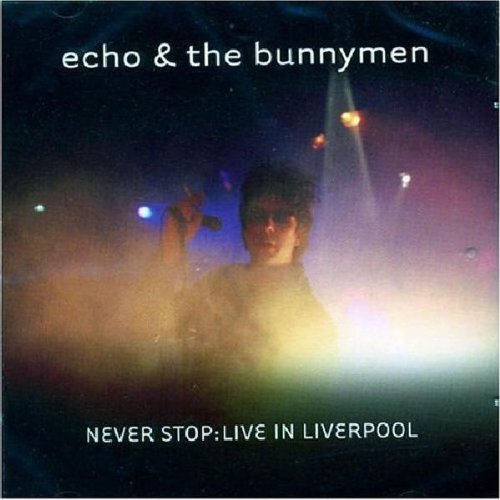 album echo and the bunnymen