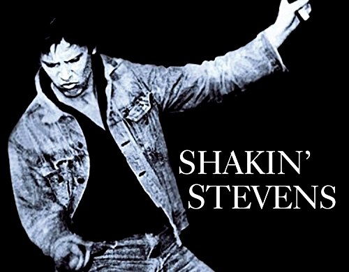 album shakin stevens