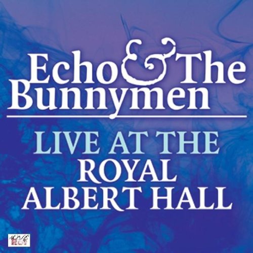 album echo and the bunnymen