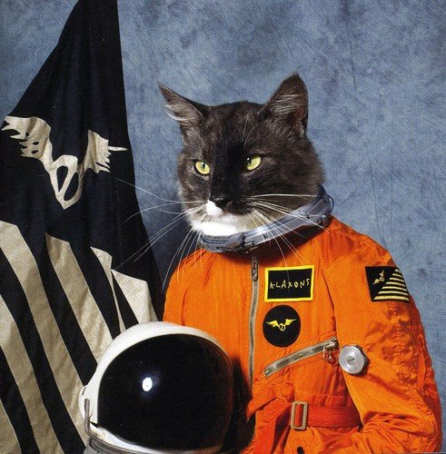 album the klaxons