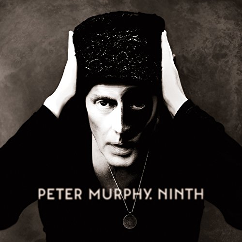 album peter murphy