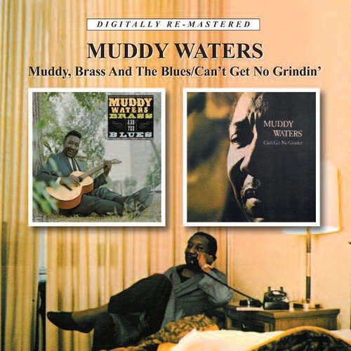 album muddy waters