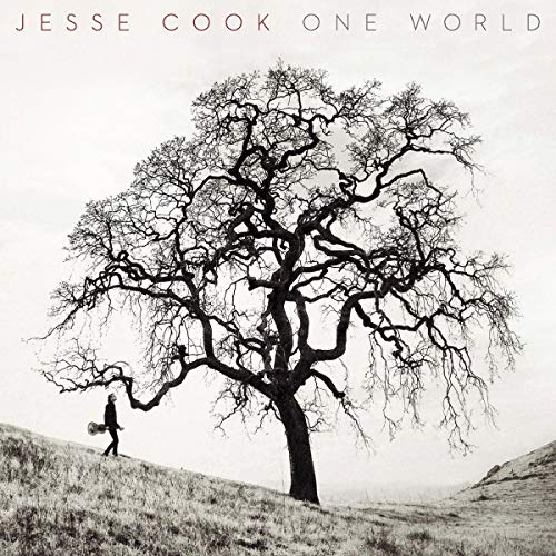 album jesse cook