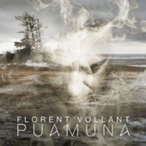 album florent vollant