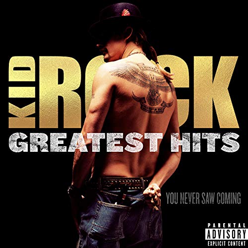 album kid rock