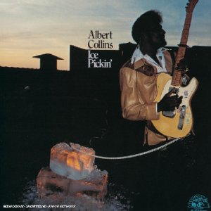 album albert collins