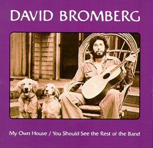 album david bromberg