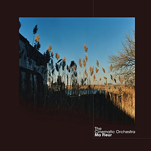 album the cinematic orchestra