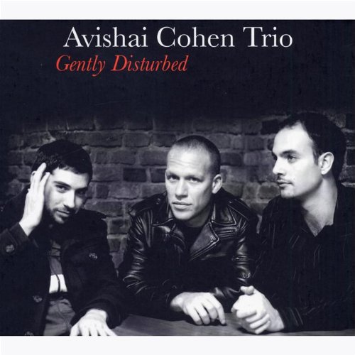 album avishai cohen trio