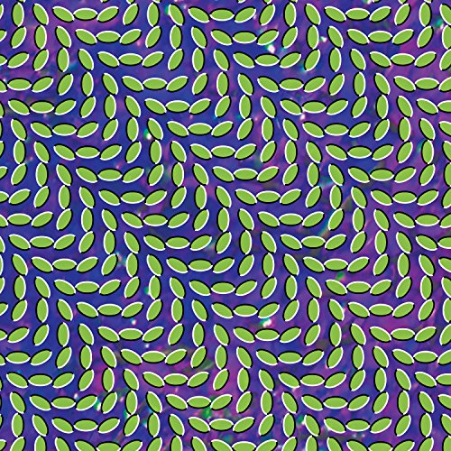 album animal collective