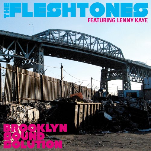 album the fleshtones