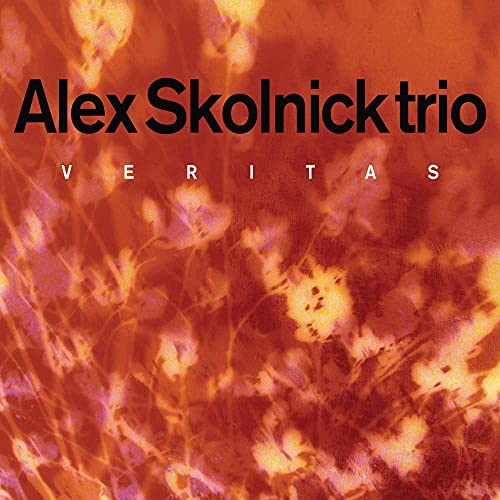 album alex skolnick trio