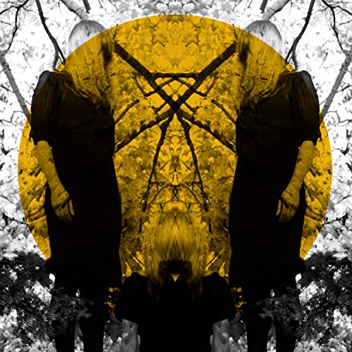 album austra