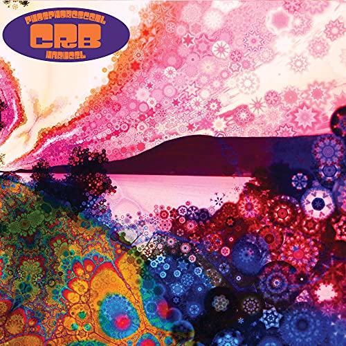 album chris robinson brotherhood